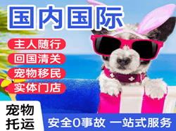 泸州云龙机场快运国际宠物托运 【国